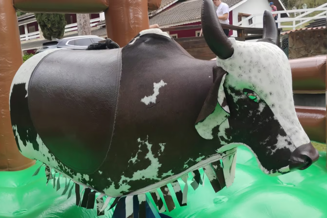 Aluguel de Touro Mecânico para Festas e Eventos