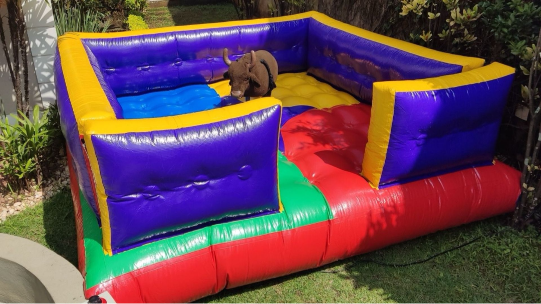 Baby Bull Infantil para Festas e Eventos Temáticos